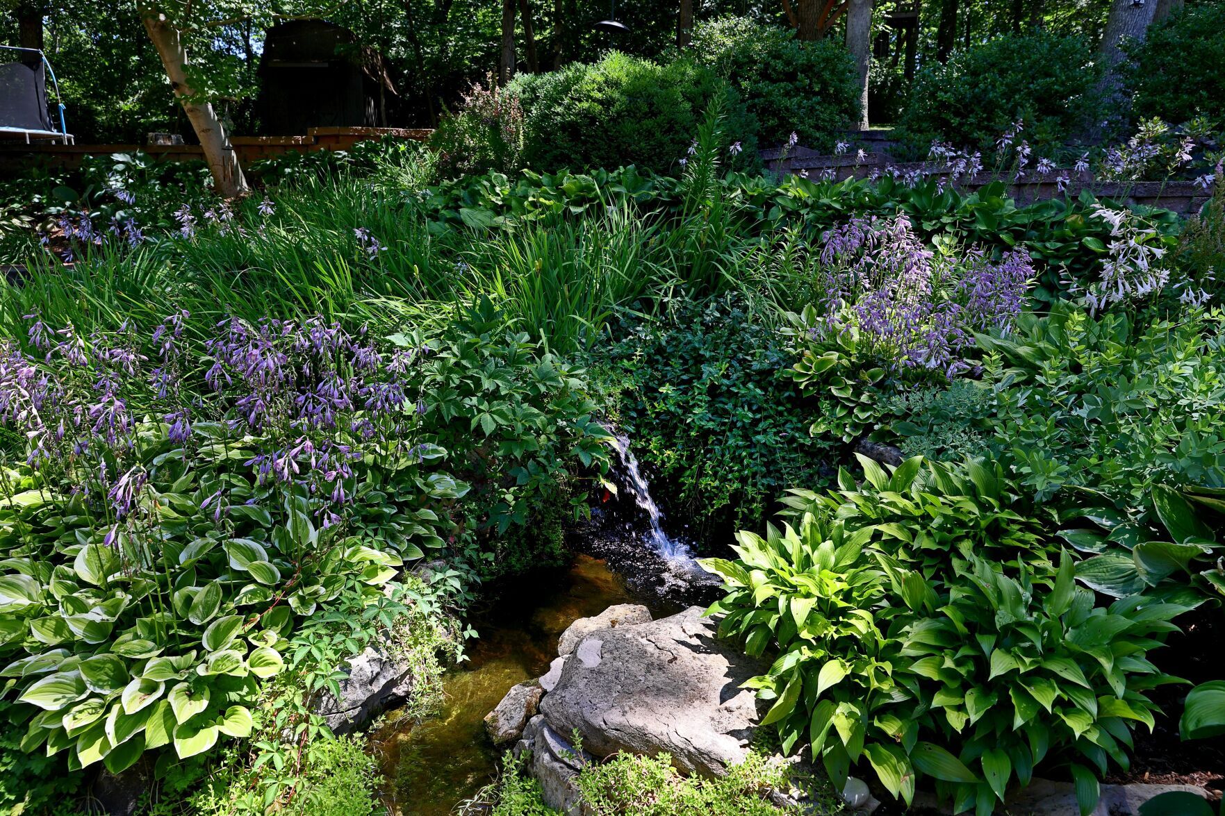 Garden contest first place winner